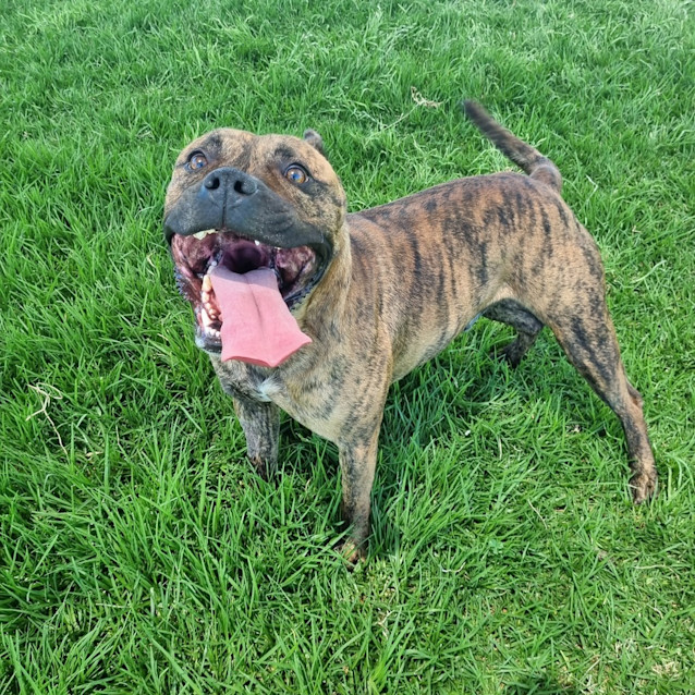 Photo of Turbo 