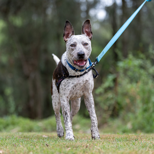 Photo of Sarah Rose Lucky