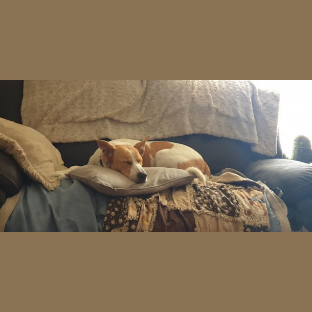 Photo of Tilberry