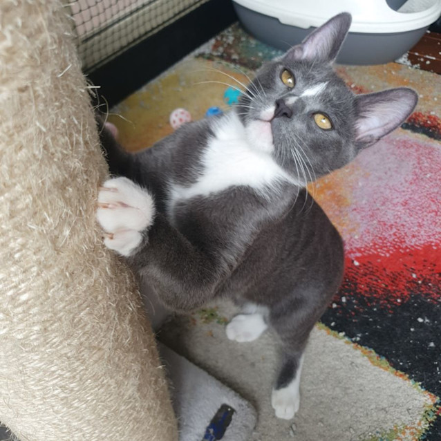 Photo of Freddie 💙