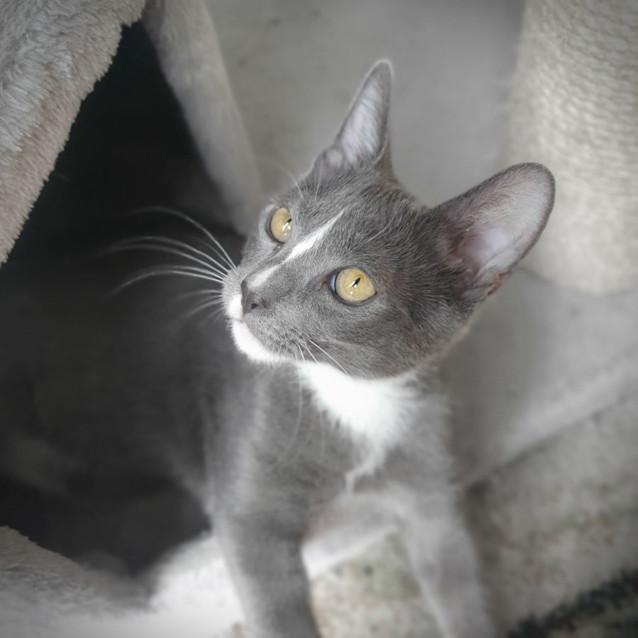 Photo of Freddie 💙