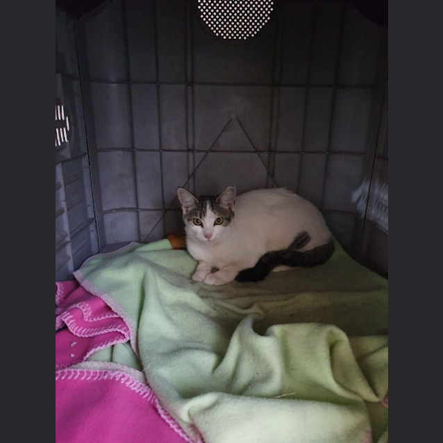 Photo of Sally
