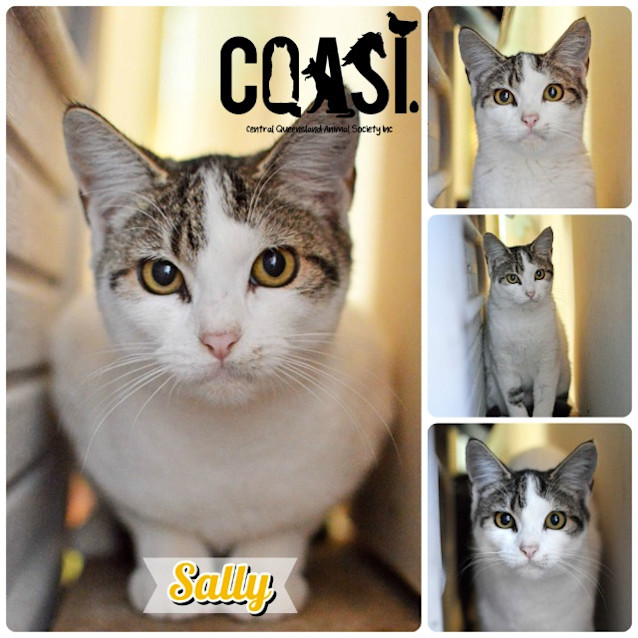 Photo of Sally