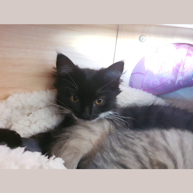 Photo of Maggie