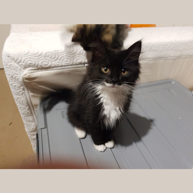 Photo of Maggie