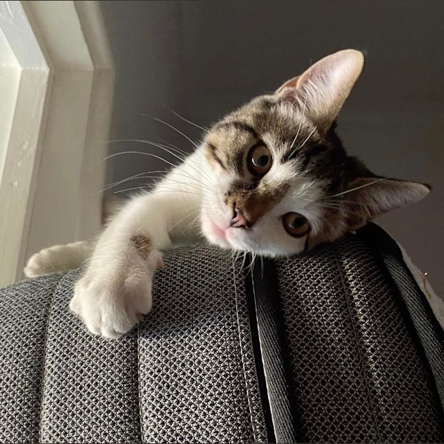 Photo of Monkey Magic