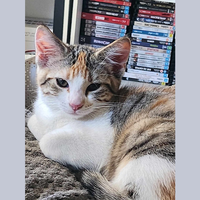 Photo of Skylar