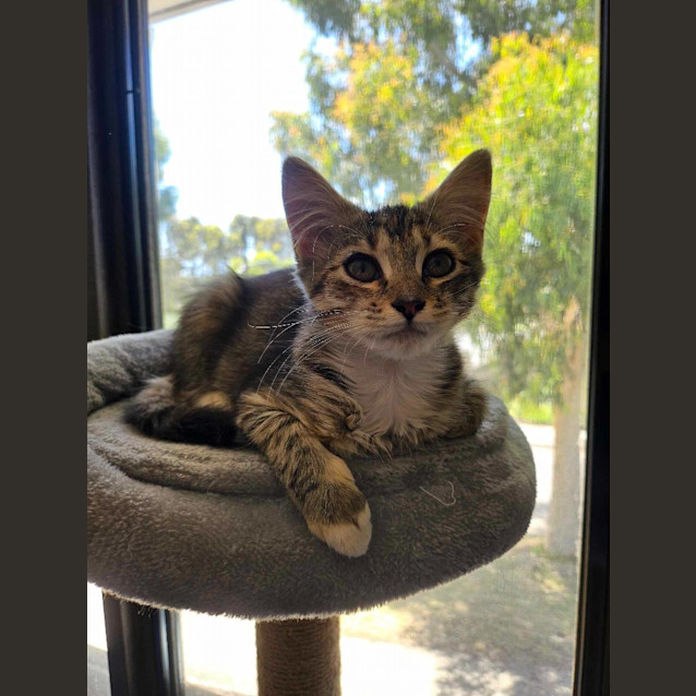 Photo of Nita