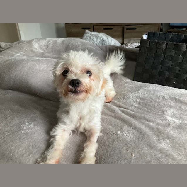 Photo of Billie And Bindi