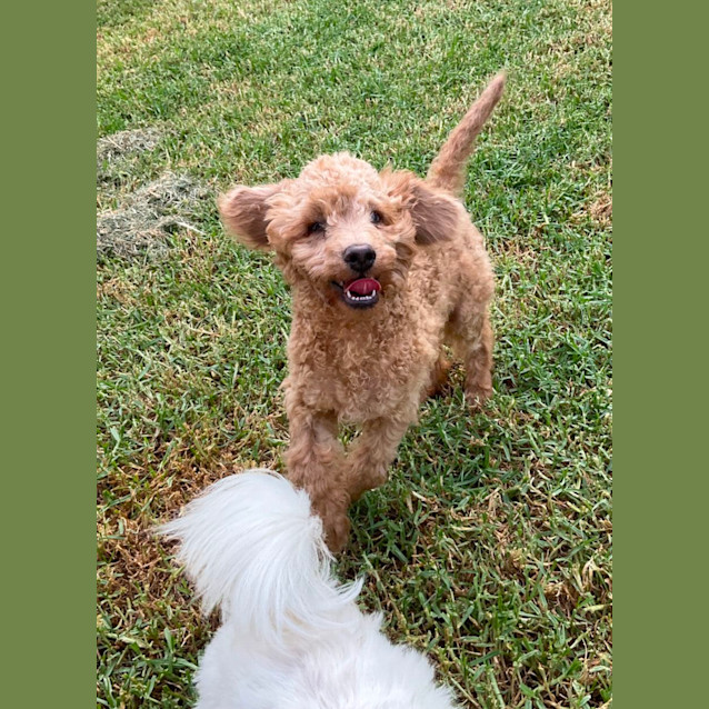 Photo of Bindi And Billie 