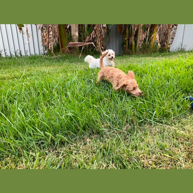 Photo of Bindi And Billie 