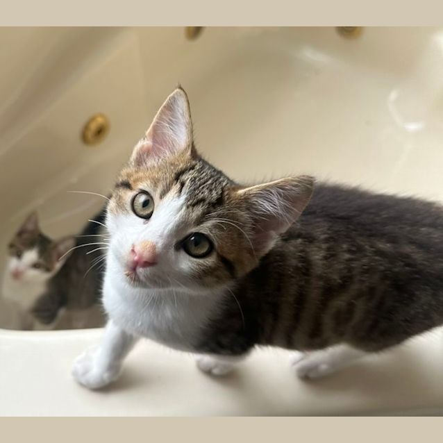 Photo of Milky
