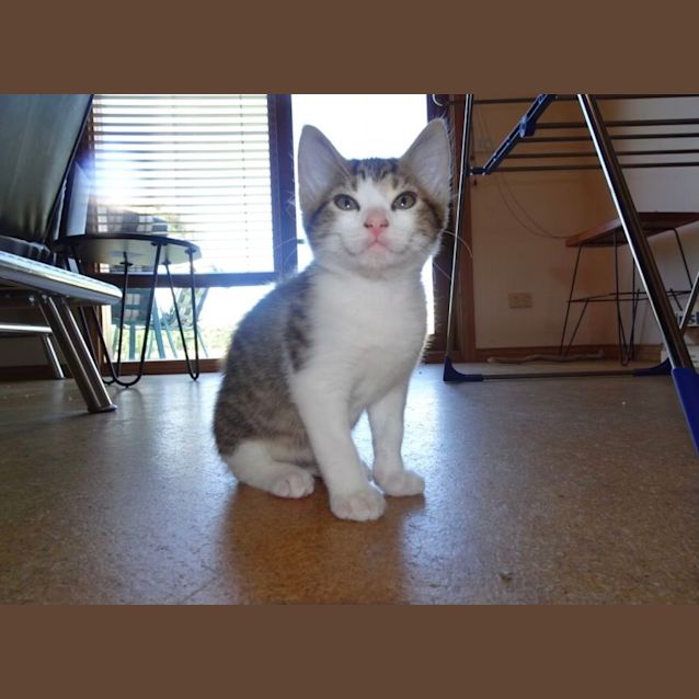 Photo of Milky