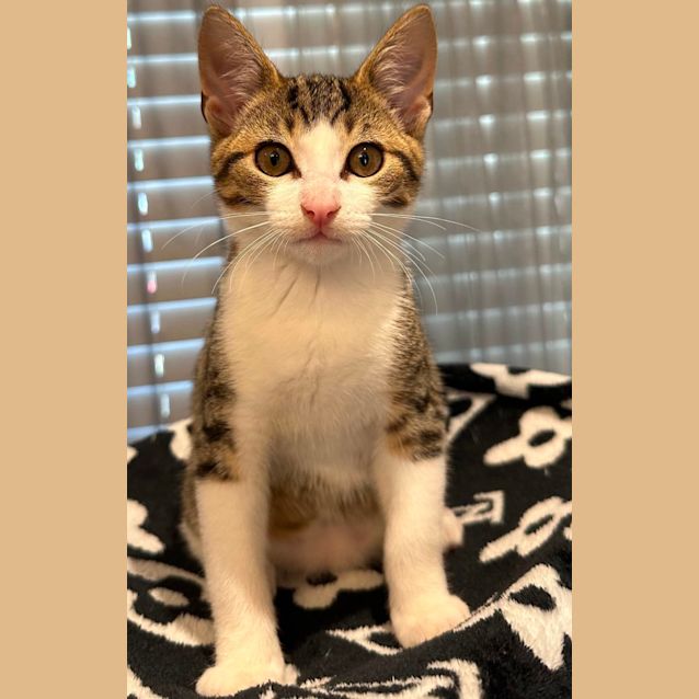 Photo of Milky