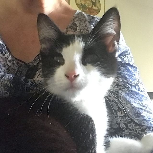 Photo of Bob