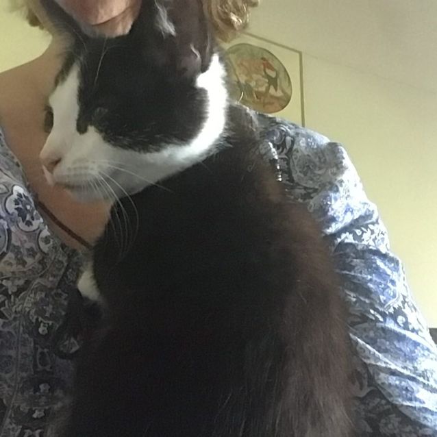 Photo of Bob