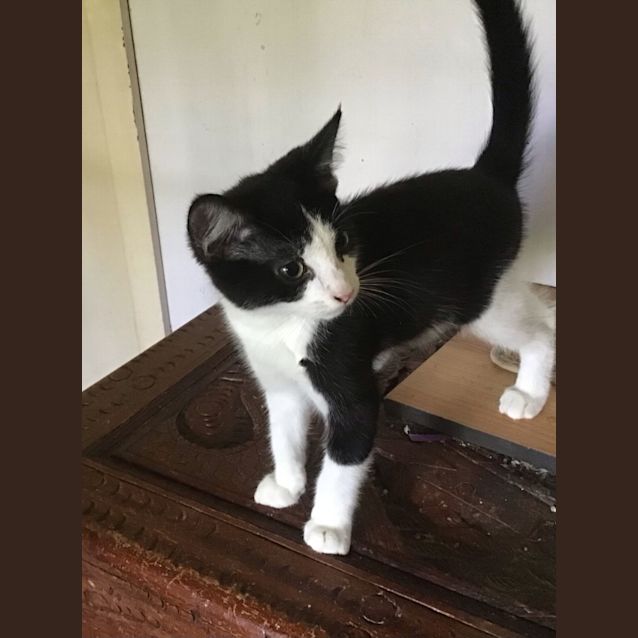 Photo of Bob