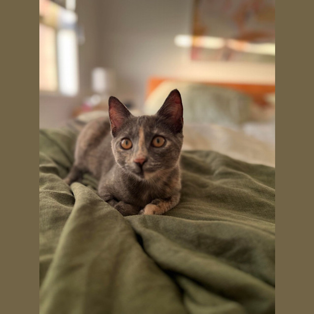 Photo of Cassie