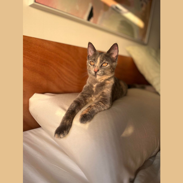 Photo of Cassie