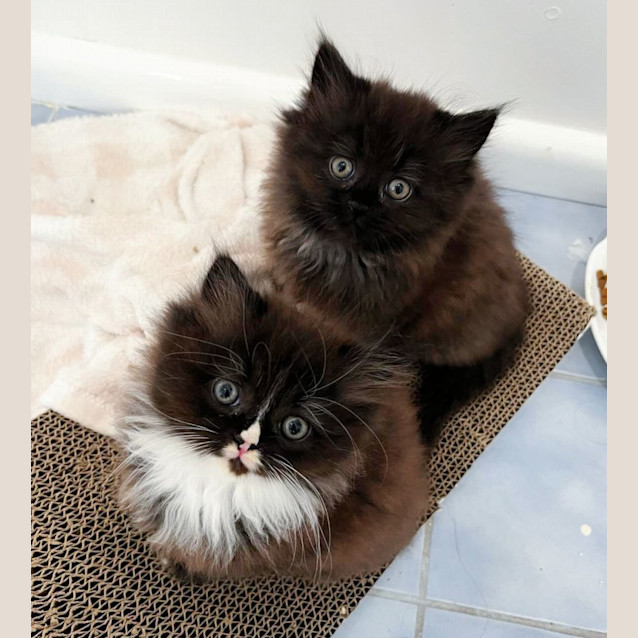 Photo of ⚫⚪Bubble⚪⚫