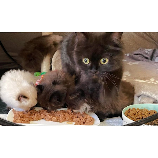 Photo of ⚫⚪Bubble⚪⚫