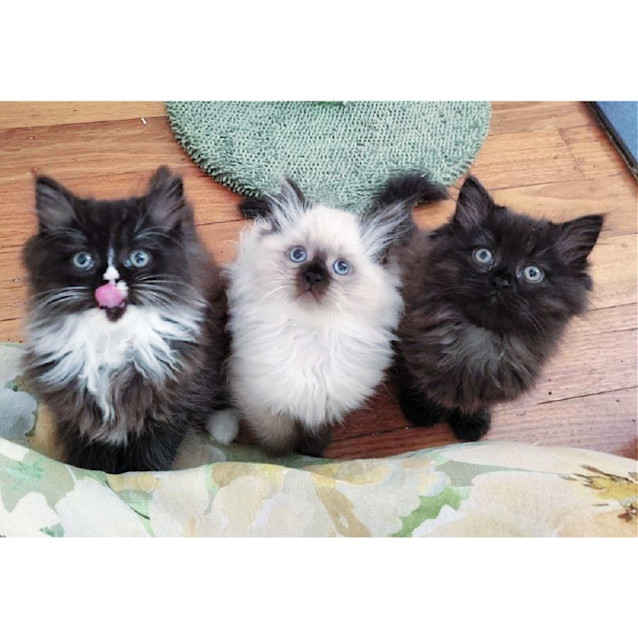 Photo of ⚫⚪Bubble⚪⚫