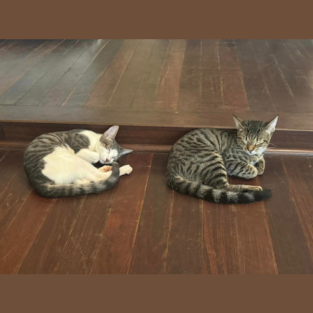 Photo of Lord Leopold