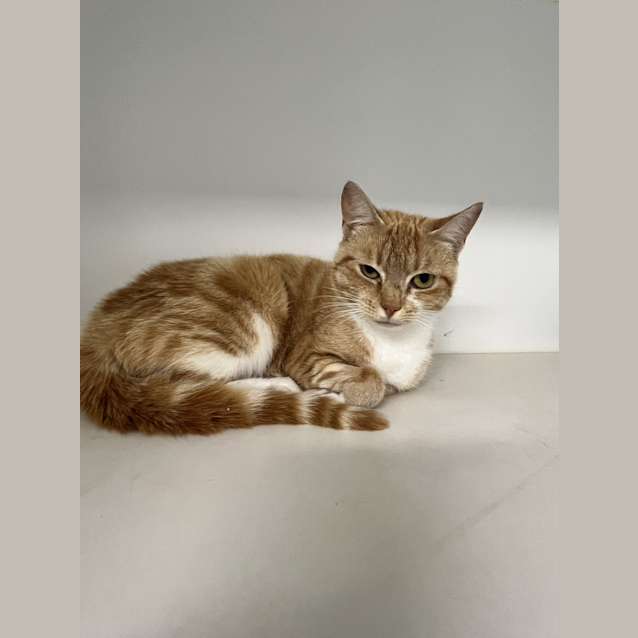 Photo of Mia