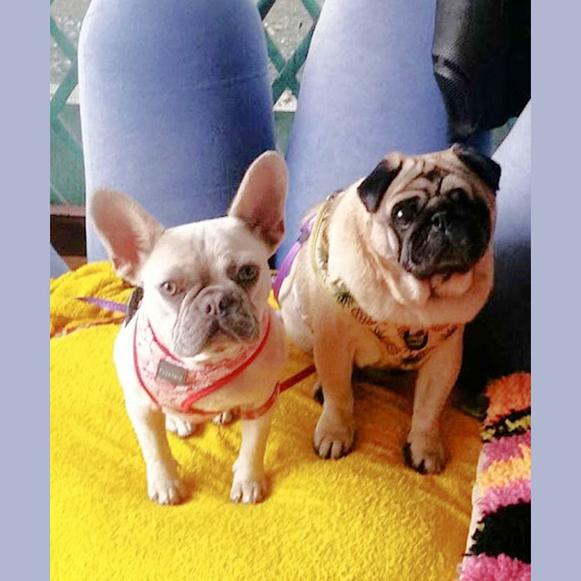 Photo of 🌯Carlos🌯