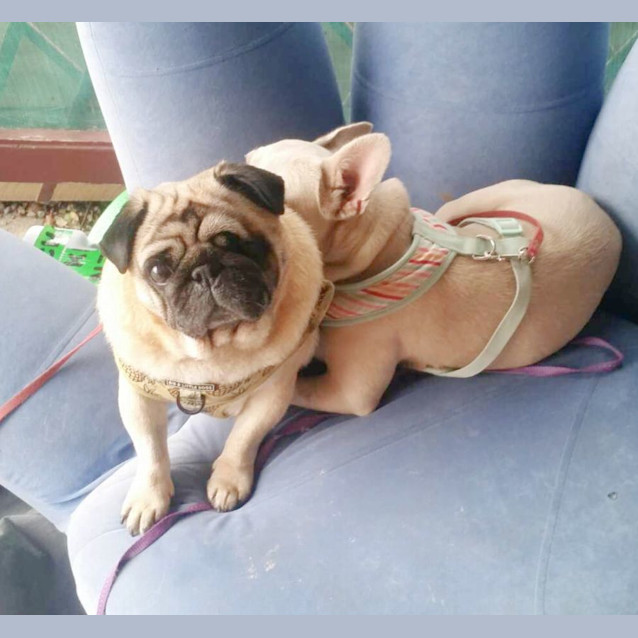 Photo of 🌯Carlos🌯