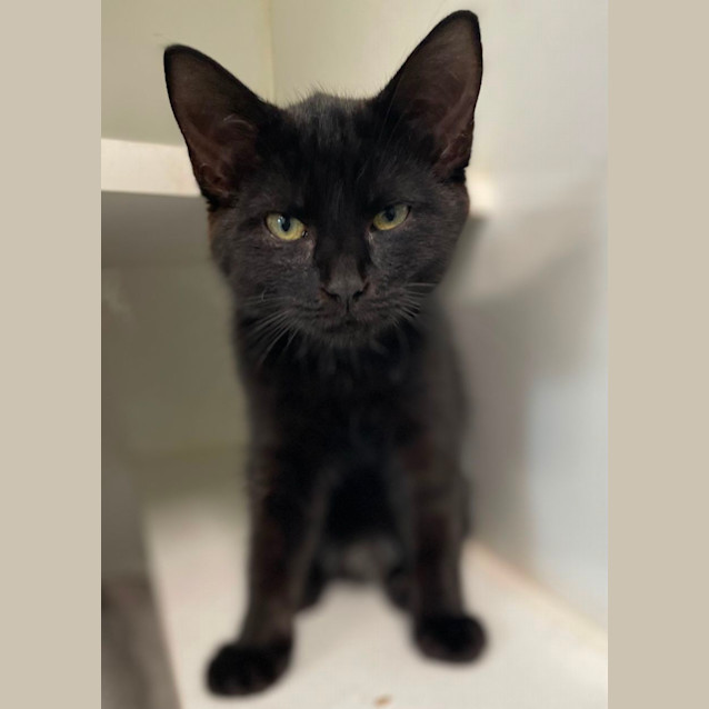 Photo of Storm