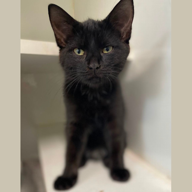 Photo of Storm