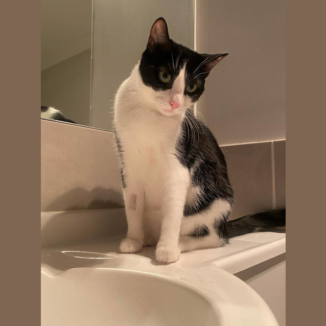 Photo of Dr Helen Worthington