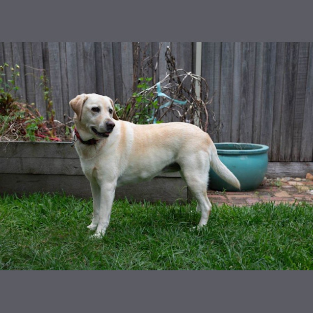 Photo of Bella Applegate