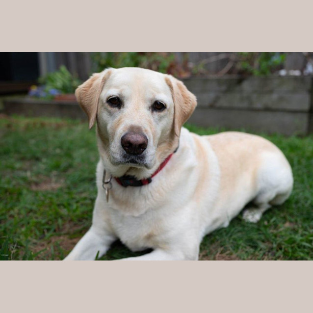 Photo of Bella Applegate