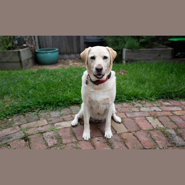 Photo of Bella Applegate