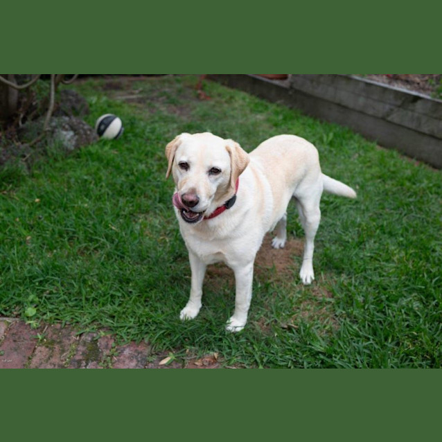 Photo of Bella Applegate