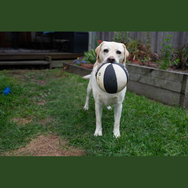 Photo of Bella Applegate