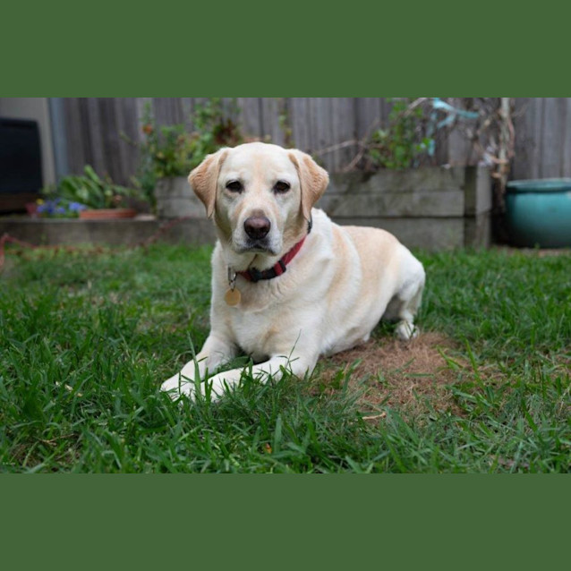 Photo of Bella Applegate