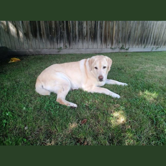 Photo of Bourkey Applegate