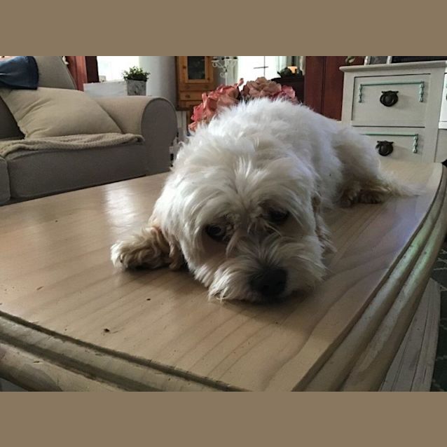 Photo of Ernie Babbington