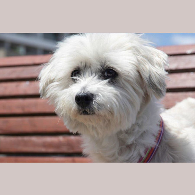 Photo of Lexi Wilberforce