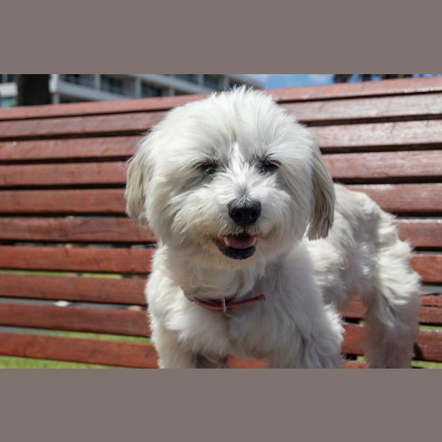 Photo of Lexi Wilberforce