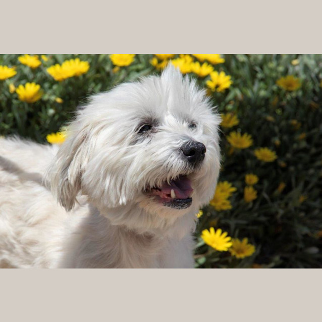 Photo of Lexi Wilberforce