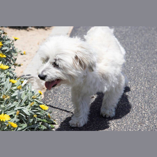 Photo of Lexi Wilberforce