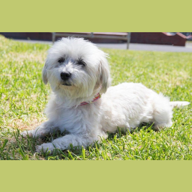 Photo of Lexi Wilberforce