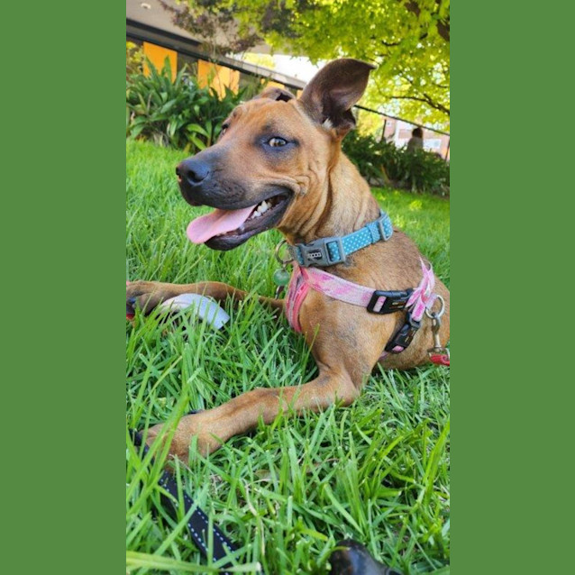 Photo of Cookie Yarbury