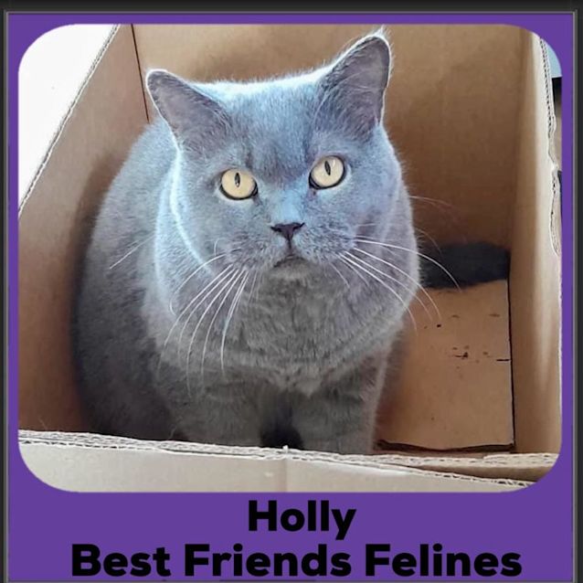 Photo of Holly 