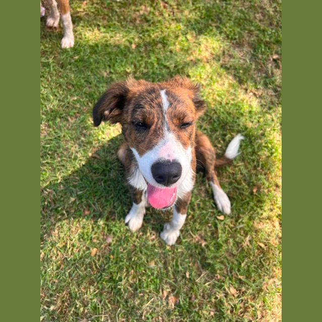Photo of Axel