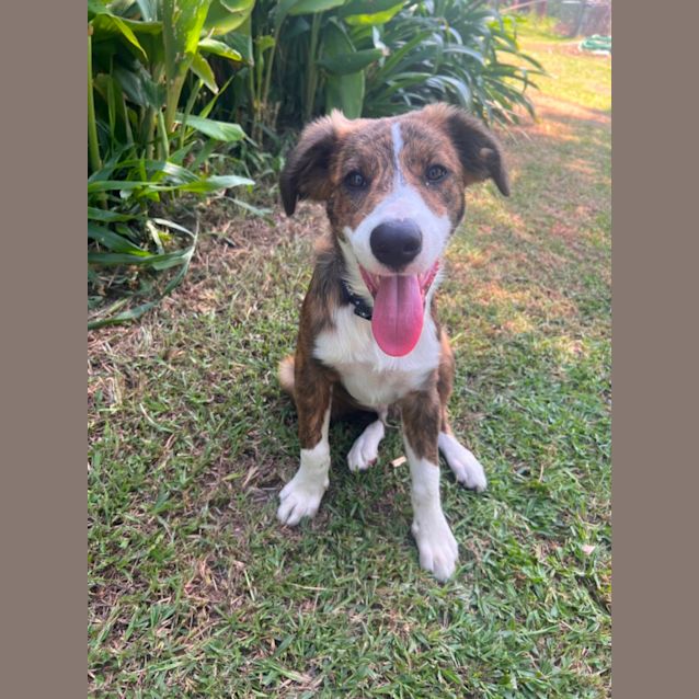 Photo of Axel